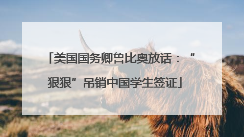 美国国务卿鲁比奥放话：“狠狠”吊销中国学生签证