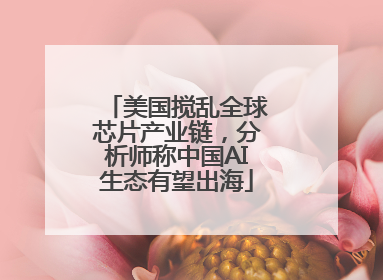 美国搅乱全球芯片产业链，分析师称中国AI生态有望出海