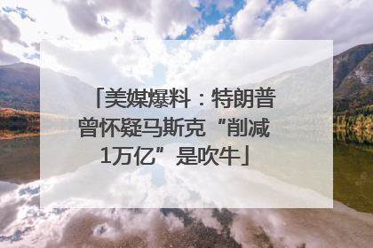 美媒爆料：特朗普曾怀疑马斯克“削减1万亿”是吹牛