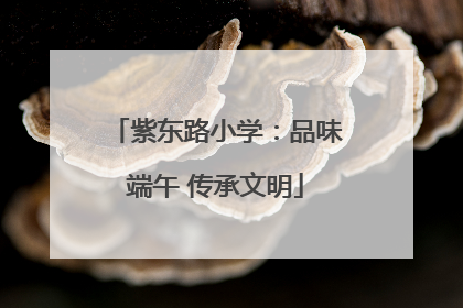 紫东路小学：品味端午 传承文明