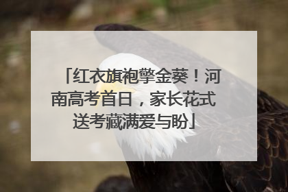 红衣旗袍擎金葵！河南高考首日，家长花式送考藏满爱与盼
