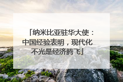 纳米比亚驻华大使：中国经验表明，现代化不光是经济腾飞