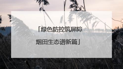 绿色防控筑屏障 烟田生态谱新篇