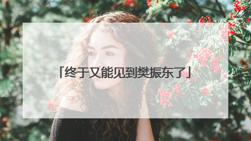 终于又能见到樊振东了