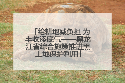 给耕地减负担 为丰收添底气——黑龙江省综合施策推进黑土地保护利用