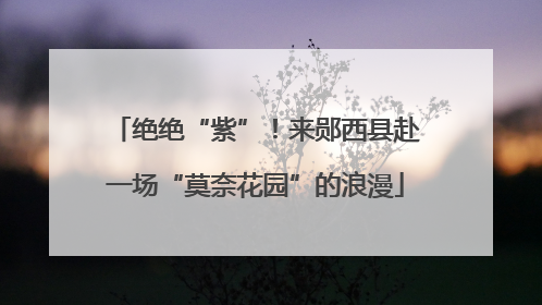 绝绝“紫”！来郧西县赴一场“莫奈花园”的浪漫