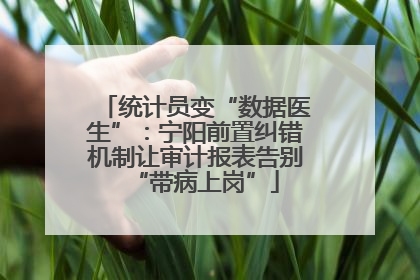 统计员变“数据医生”：宁阳前置纠错机制让审计报表告别“带病上岗”