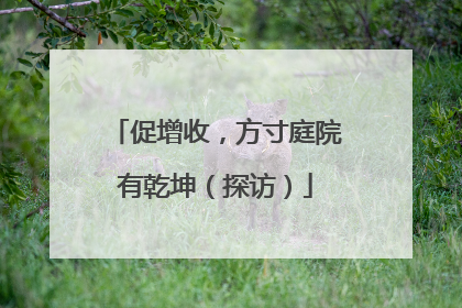 促增收，方寸庭院有乾坤（探访）
