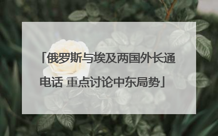 俄罗斯与埃及两国外长通电话 重点讨论中东局势