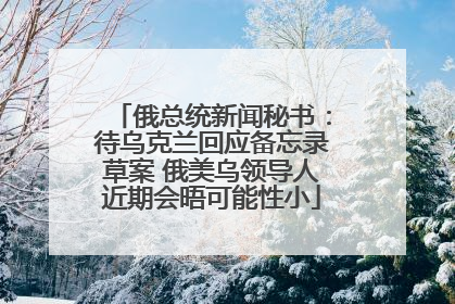 俄总统新闻秘书：待乌克兰回应备忘录草案 俄美乌领导人近期会晤可能性小