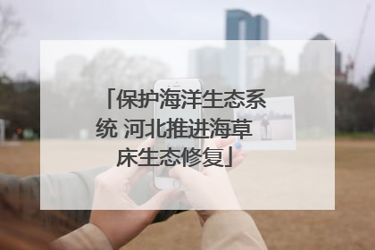 保护海洋生态系统 河北推进海草床生态修复