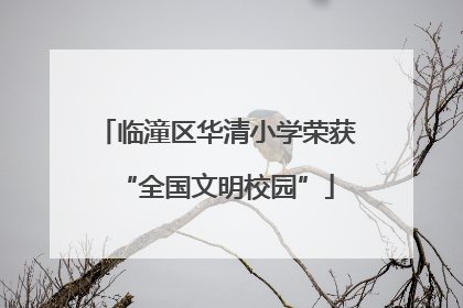临潼区华清小学荣获“全国文明校园”