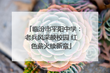 临汾市平阳中学：老兵风采映校园 红色薪火续新章