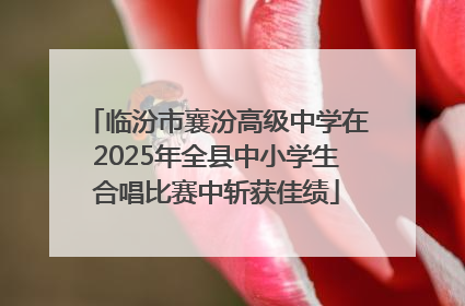 临汾市襄汾高级中学在2025年全县中小学生合唱比赛中斩获佳绩
