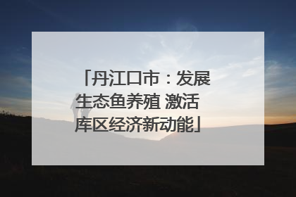 丹江口市：发展生态鱼养殖 激活库区经济新动能
