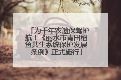 为千年农遗保驾护航！《丽水市青田稻鱼共生系统保护发展条例》正式施行