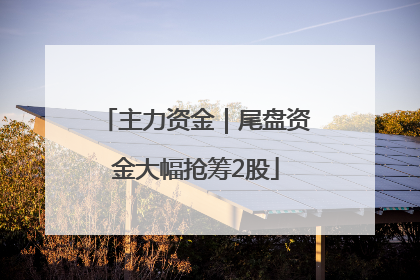 主力资金｜尾盘资金大幅抢筹2股