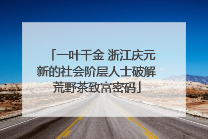 一叶千金 浙江庆元新的社会阶层人士破解荒野茶致富密码
