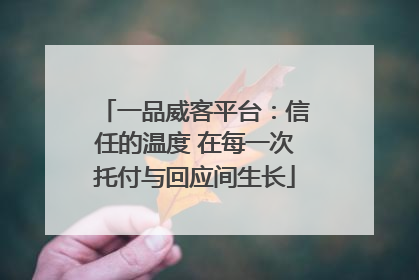 一品威客平台：信任的温度 在每一次托付与回应间生长