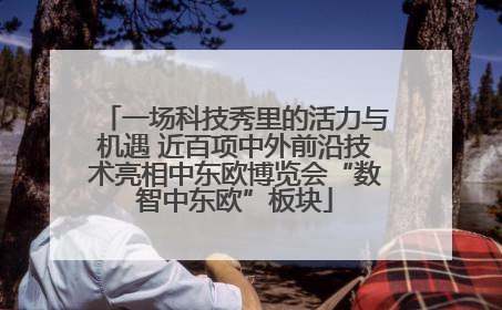 一场科技秀里的活力与机遇 近百项中外前沿技术亮相中东欧博览会“数智中东欧”板块