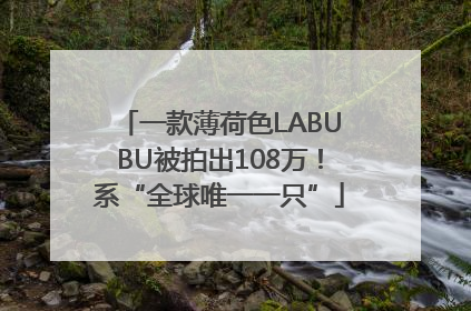 一款薄荷色LABUBU被拍出108万！系“全球唯一一只”