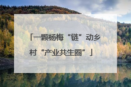 一颗杨梅“链”动乡村“产业共生圈”