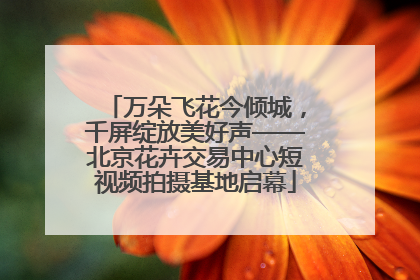 万朵飞花今倾城，千屏绽放美好声——北京花卉交易中心短视频拍摄基地启幕