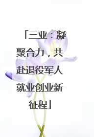 三亚：凝聚合力，共赴退役军人就业创业新征程