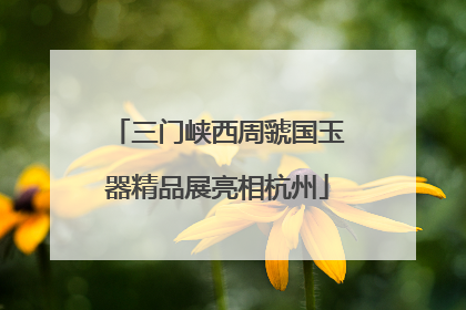 三门峡西周虢国玉器精品展亮相杭州