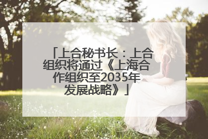 上合秘书长：上合组织将通过《上海合作组织至2035年发展战略》