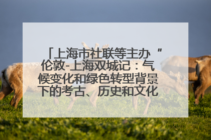 上海市社联等主办“伦敦-上海双城记：气候变化和绿色转型背景下的考古、历史和文化遗产”学术对话