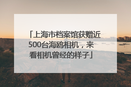 上海市档案馆获赠近500台海鸥相机，来看相机曾经的样子
