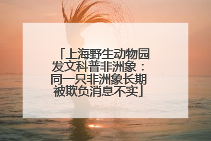 上海野生动物园发文科普非洲象：同一只非洲象长期被欺负消息不实