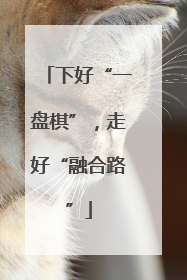 下好“一盘棋”，走好“融合路”