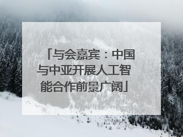 与会嘉宾：中国与中亚开展人工智能合作前景广阔