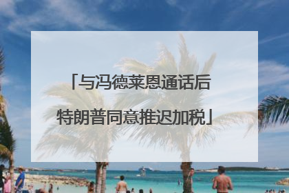 与冯德莱恩通话后 特朗普同意推迟加税