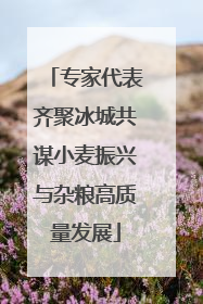 专家代表齐聚冰城共谋小麦振兴与杂粮高质量发展