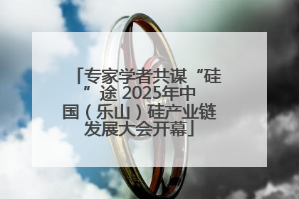 专家学者共谋“硅”途 2025年中国（乐山）硅产业链发展大会开幕