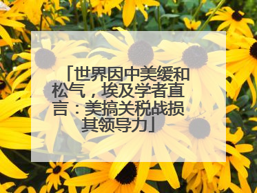 世界因中美缓和松气，埃及学者直言：美搞关税战损其领导力