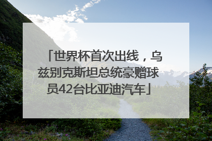世界杯首次出线，乌兹别克斯坦总统豪赠球员42台比亚迪汽车