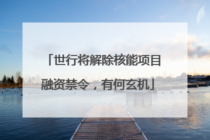 世行将解除核能项目融资禁令，有何玄机