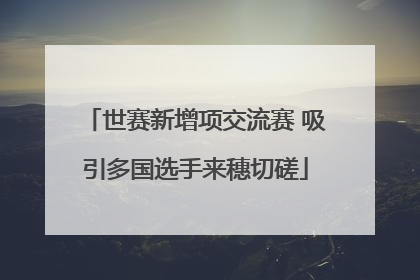 世赛新增项交流赛 吸引多国选手来穗切磋