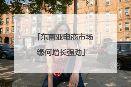 东南亚电商市场缘何增长强劲