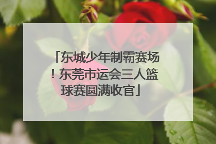 东城少年制霸赛场！东莞市运会三人篮球赛圆满收官