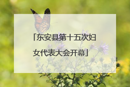 东安县第十五次妇女代表大会开幕