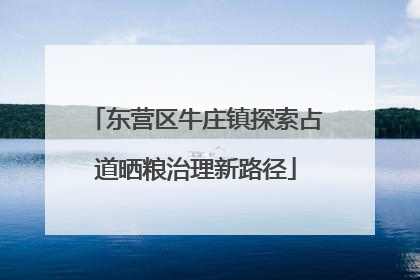 东营区牛庄镇探索占道晒粮治理新路径