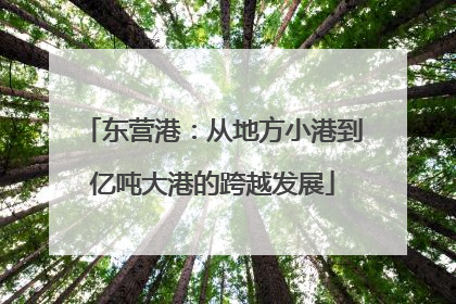 东营港：从地方小港到亿吨大港的跨越发展