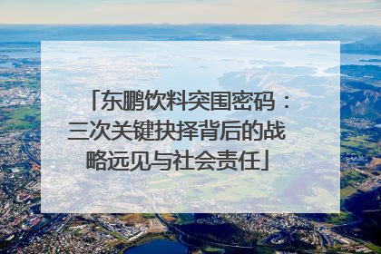 东鹏饮料突围密码：三次关键抉择背后的战略远见与社会责任