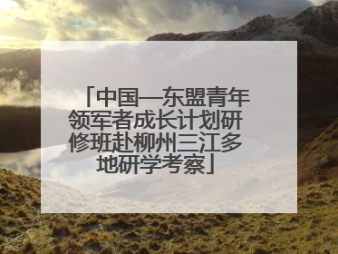 中国—东盟青年领军者成长计划研修班赴柳州三江多地研学考察