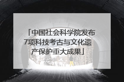 中国社会科学院发布7项科技考古与文化遗产保护重大成果